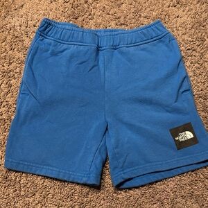 The North Face Royal Blue Fleece Shorts